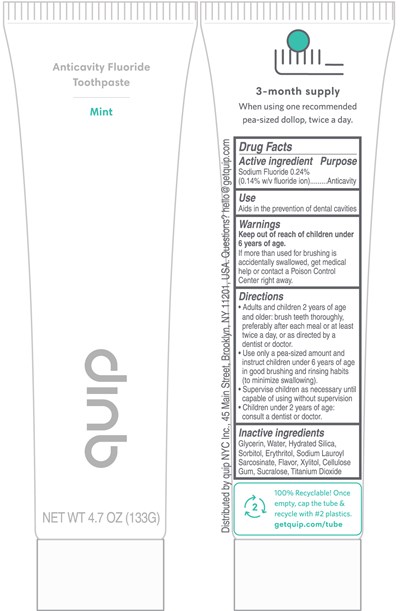 2012 Quip Mint (201218 Quip Mint)